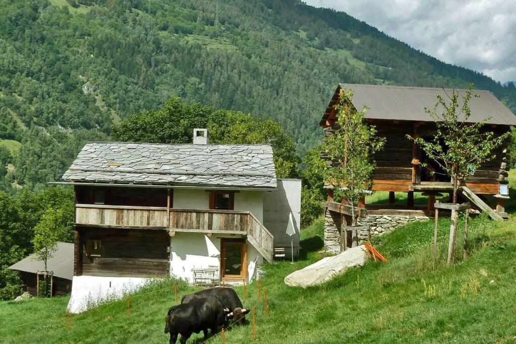 Appartement Le Ver Luisant à Saint-Martin, Val d'Hérens, Valais Esterno foto